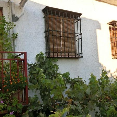 Al Sil Ram Daire Alfacar Dış mekan fotoğraf